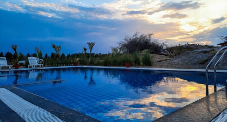 The Leopard View JAWAI