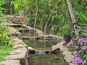 Grihum Nature Retreat – Udaipur ka Himachal | Pre Wedding Shoot in Udaipur